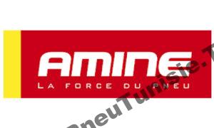 pneu amine tunisie