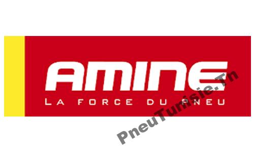 pneu amine tunisie